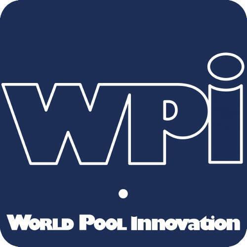 logo_wpi_2018_OK-removebg-preview